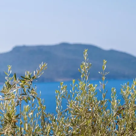 Sea Mist Каш