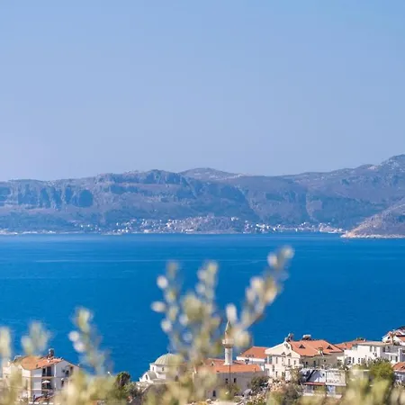 Sea Mist * Kas